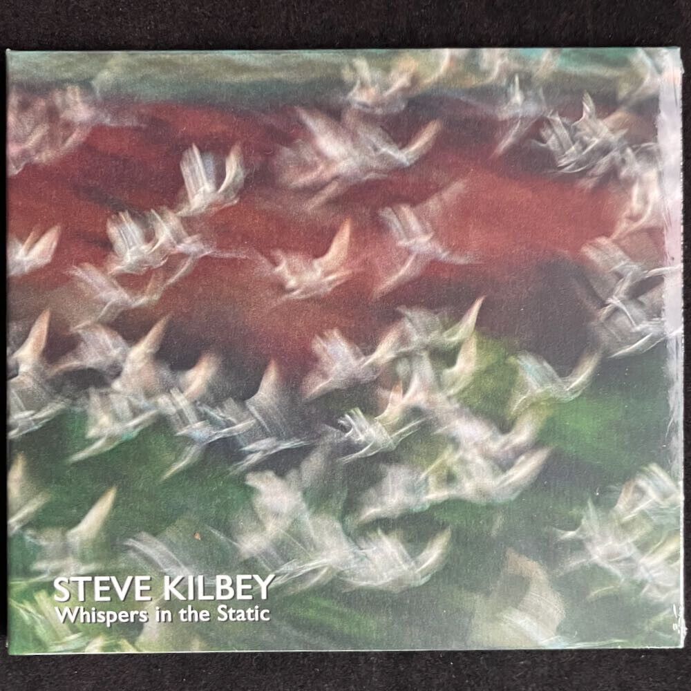 Steve Kilbey  Whispers In The Static  Compact Disc CD Easy Action 2024 NEW